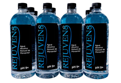12 Pack x 946ml Alkaline Spring Water