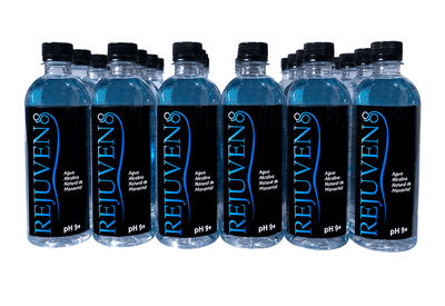 24 Pack x 500ml Alkaline Spring Water
