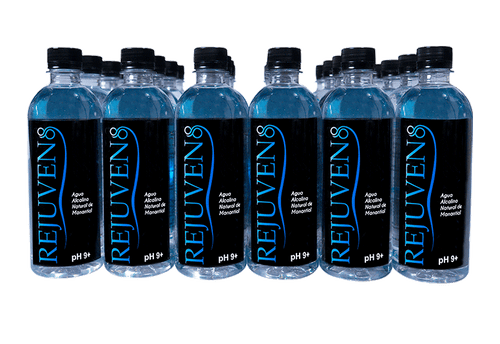 24 Pack x 500ml Alkaline Spring Water